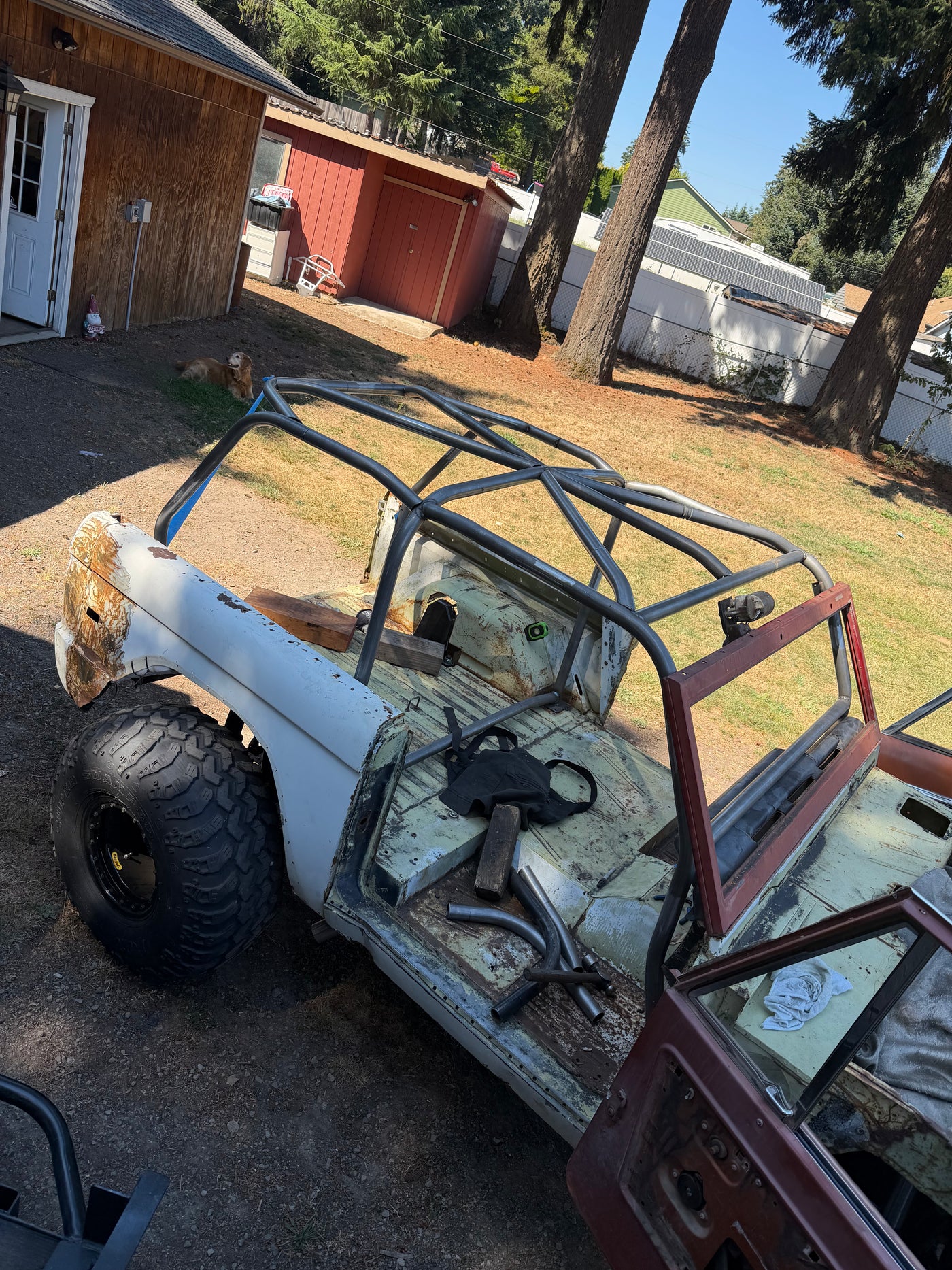 Coreys Early Bronco, photo 64