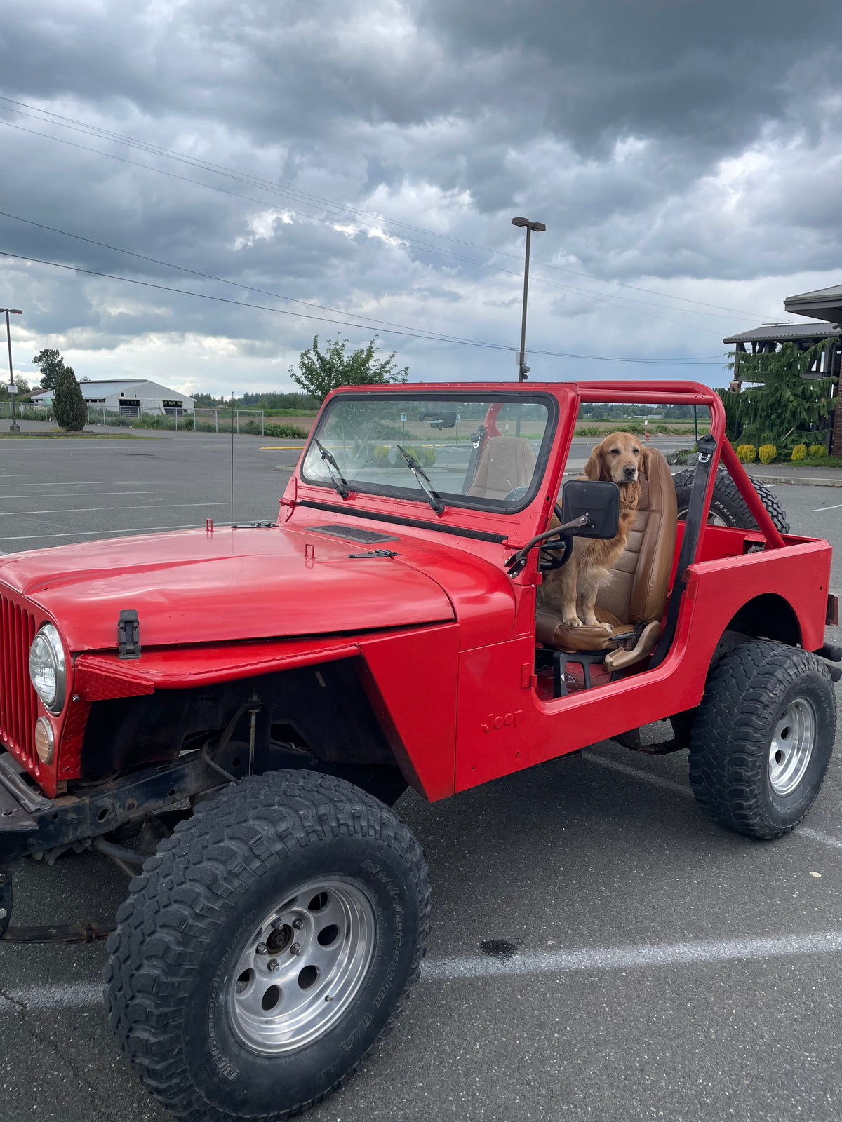 Y-CJ7, photo 5